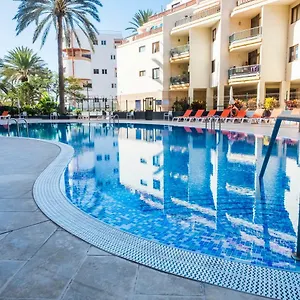Guayero , Los Cristianos (Tenerife) España